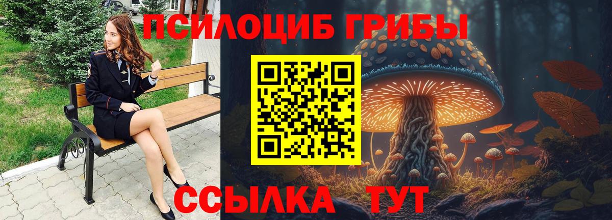 Галлюциногенные грибы Psilocybe  Вход с VPN  Галлюциногенные грибы Magic Shrooms  Маркс 